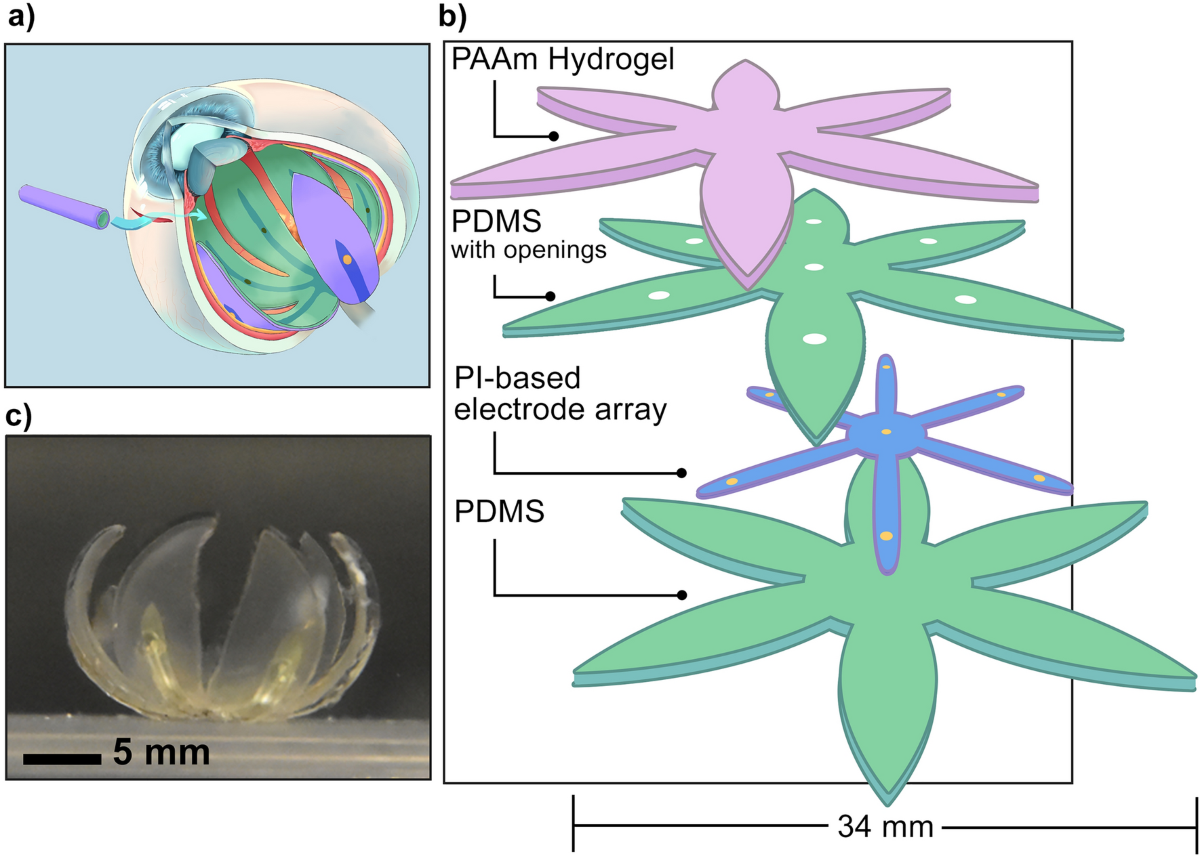 full-field-conformal-epiretinal-electrode-array-using-hydrogel-and-polymer-hybrid-technology-scientific-reports