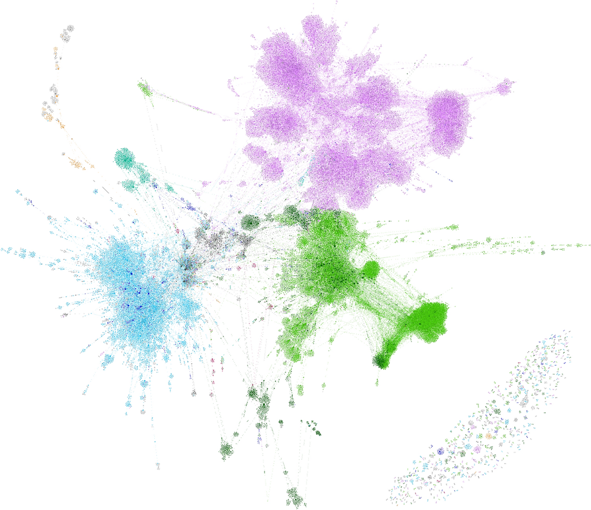 Circulation of a digital community currency | Scientific Reports
