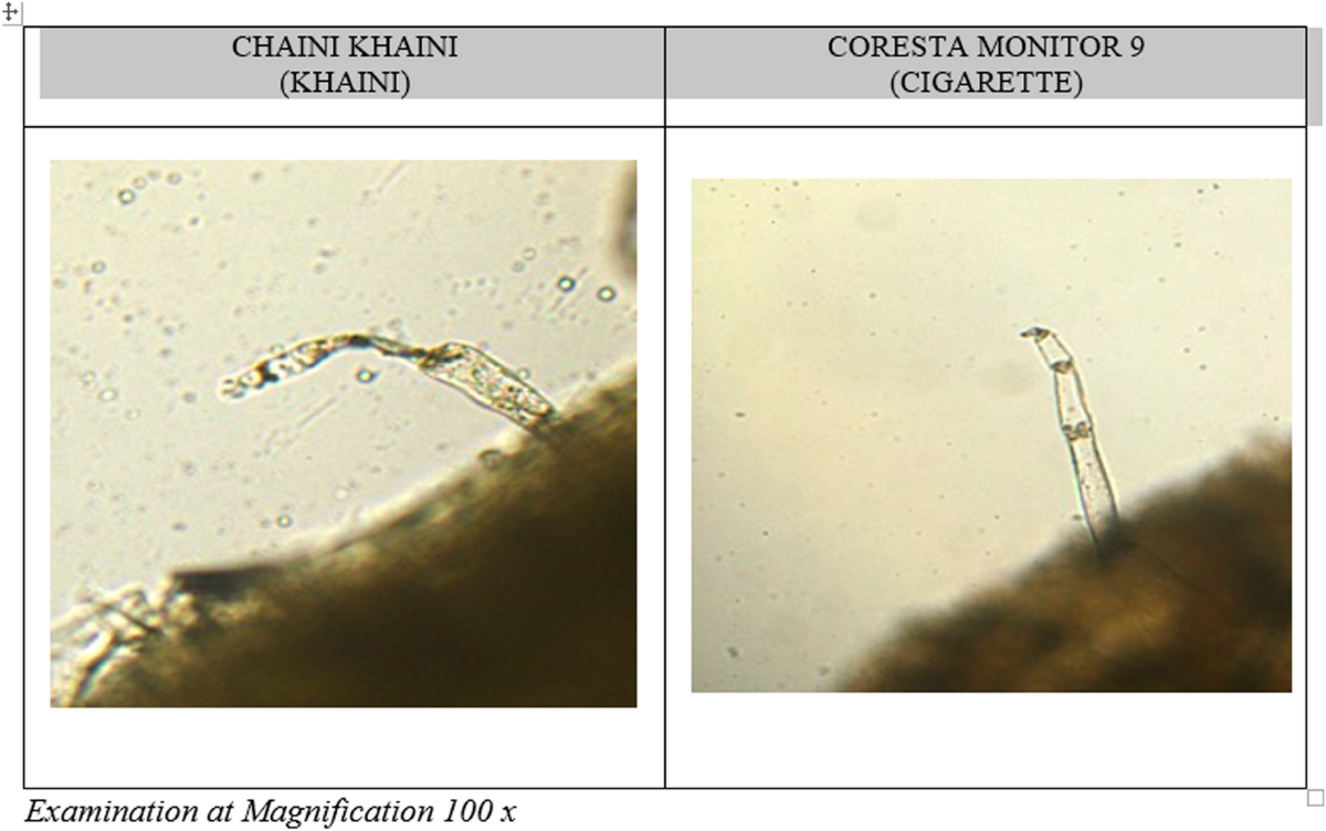chaini khaini tobacco Physical and chemical characterization of smokeless tobacco products in  India
