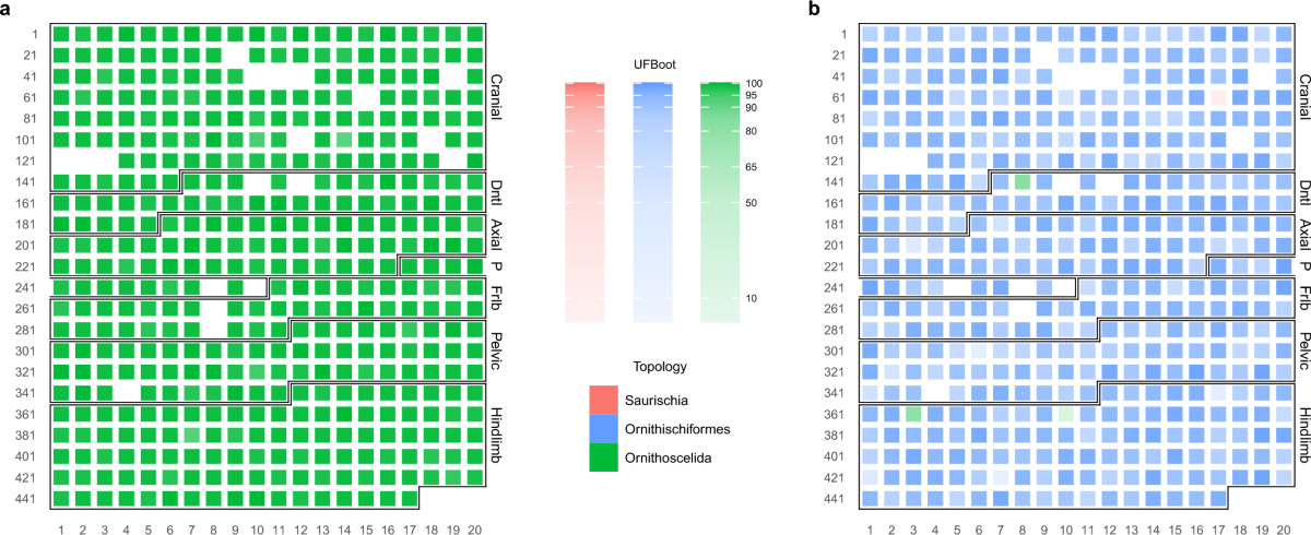 Figure 4 from Fonseca et al. (2023): per-character statistical support on a time scale, illustrating the relevance of the calibration performed in Marsicano et al. (2016).