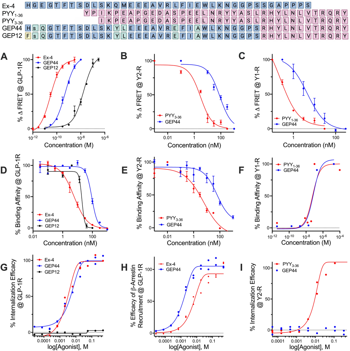 triple glp 1 agonist A peptide triple agonist of GLP-1, neuropeptide Y1, and neuropeptide Y2  receptors promotes glycemic control and weight loss