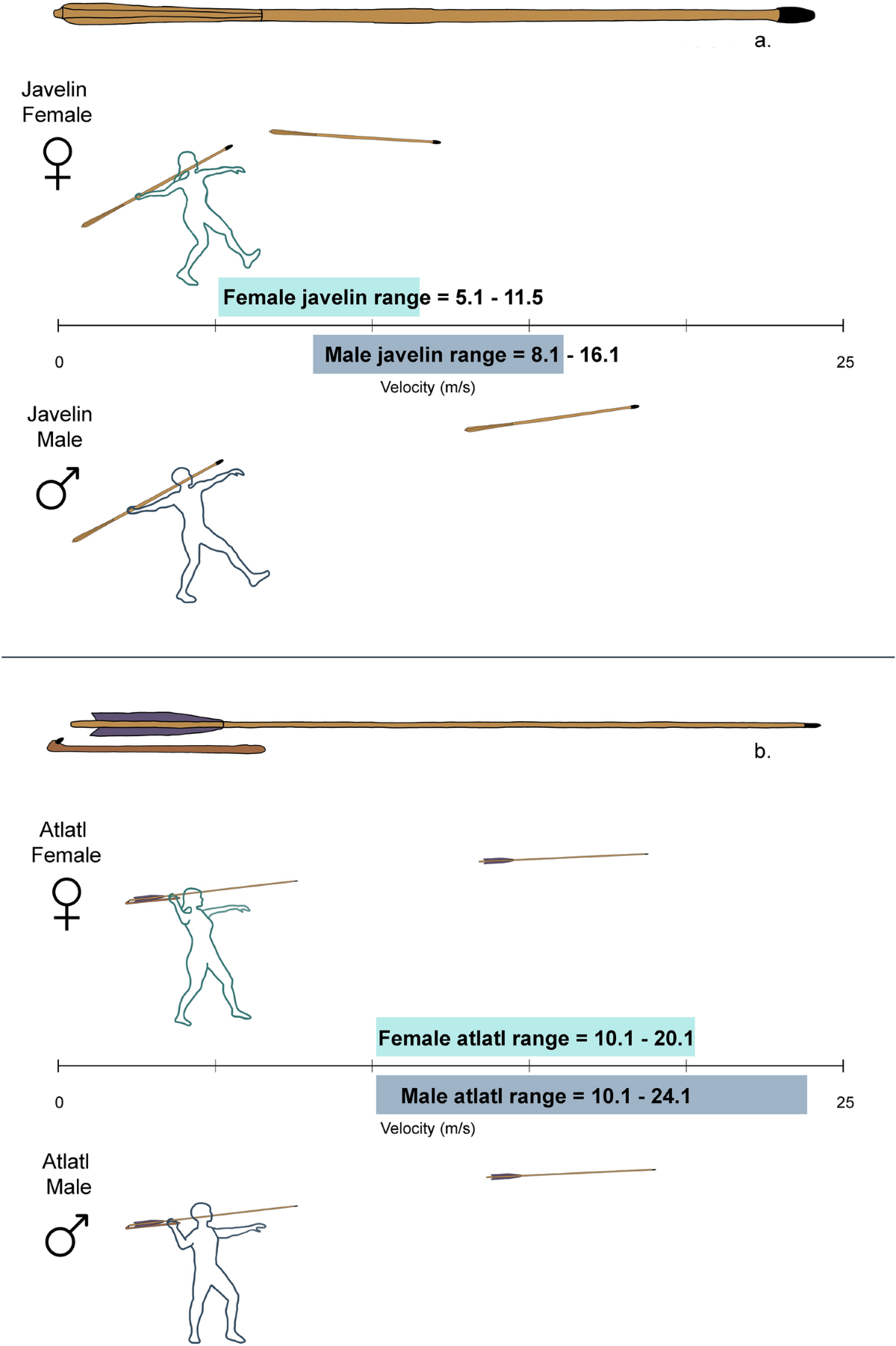 Atlatl use equalizes female and male projectile weapon velocity |  Scientific Reports