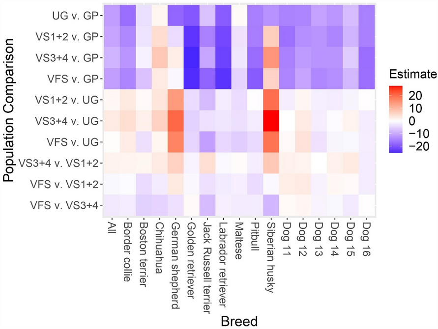 Veterinary education and experience shape beliefs about dog breeds