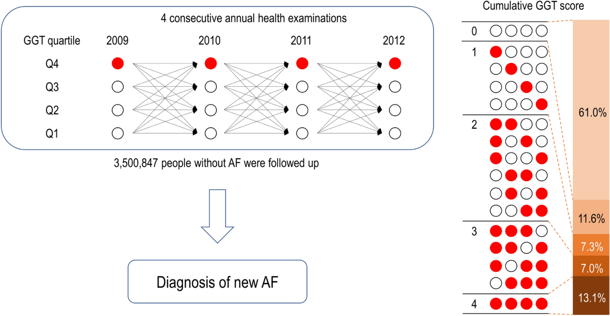 Association between the accumulation of elevated serum γ-glutamyltransferase level and risk of atrial fibrillation: a nationwide cohort study