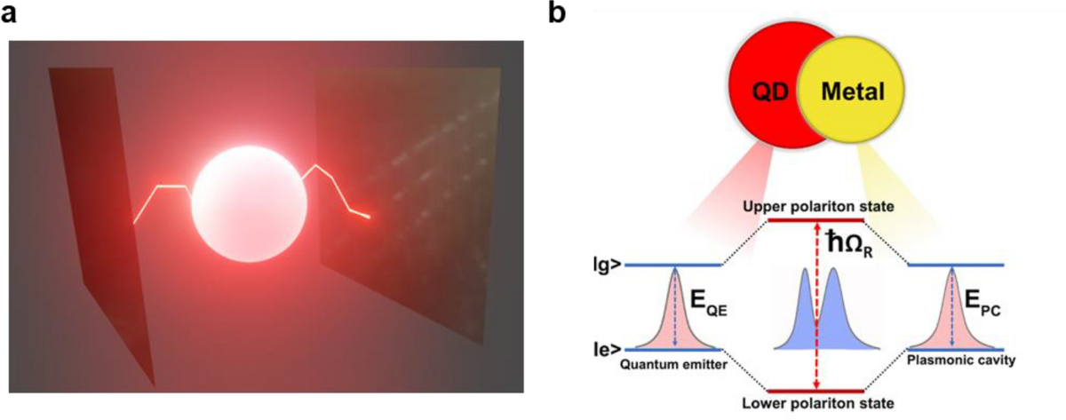 Strong coupling of hybrid states of light and matter in cavity 