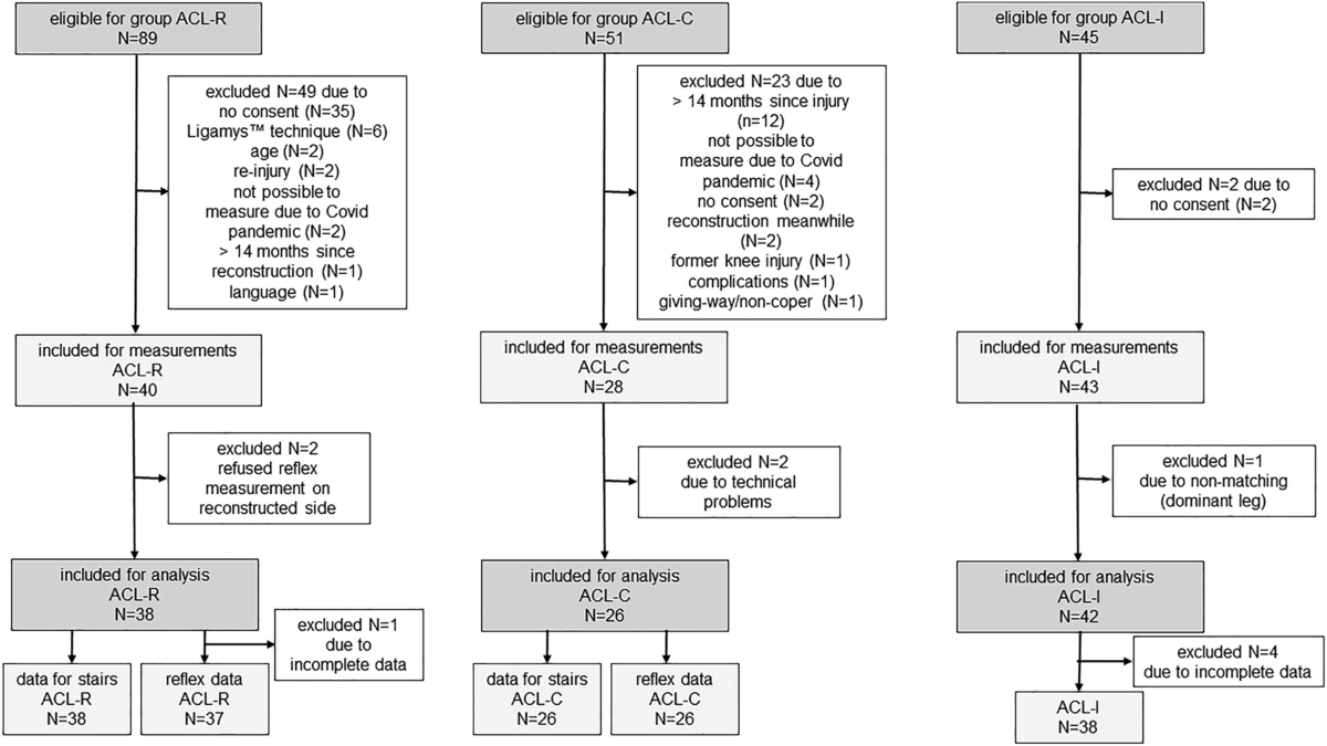 Neuromuscular control in males and females 1 year after an anterior ...