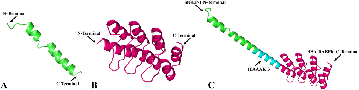 glp 1 hsa Designing and computational analyzing of chimeric long-lasting GLP-1  receptor agonists for type 2 diabetes
