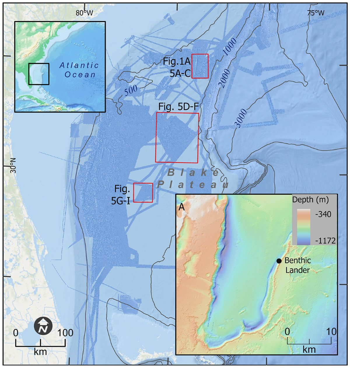 Zach xbt x (80) 사진