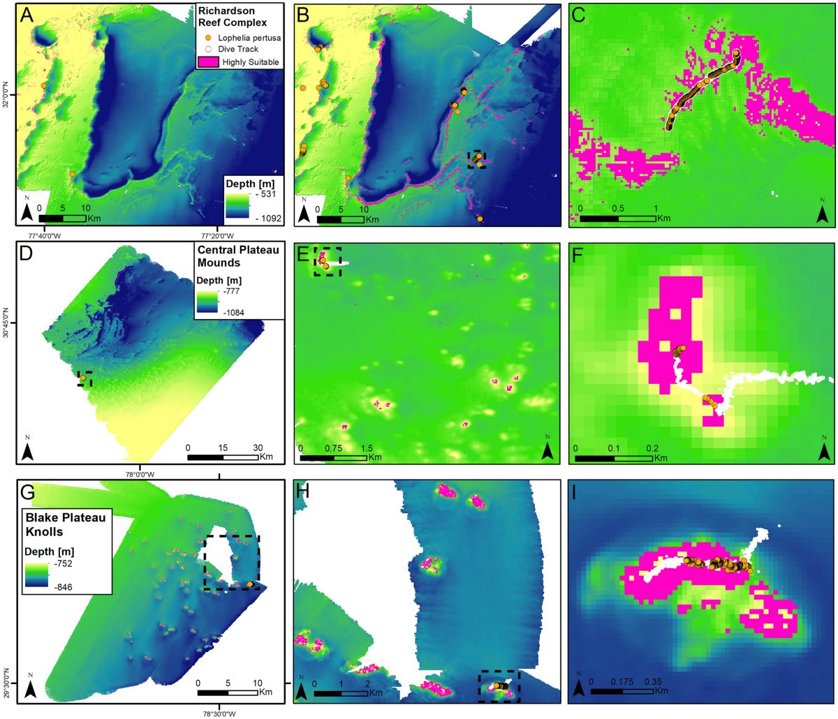 Expanding our view of the cold-water coral niche and accounting of the  ecosystem services of the reef habitat | Scientific Reports