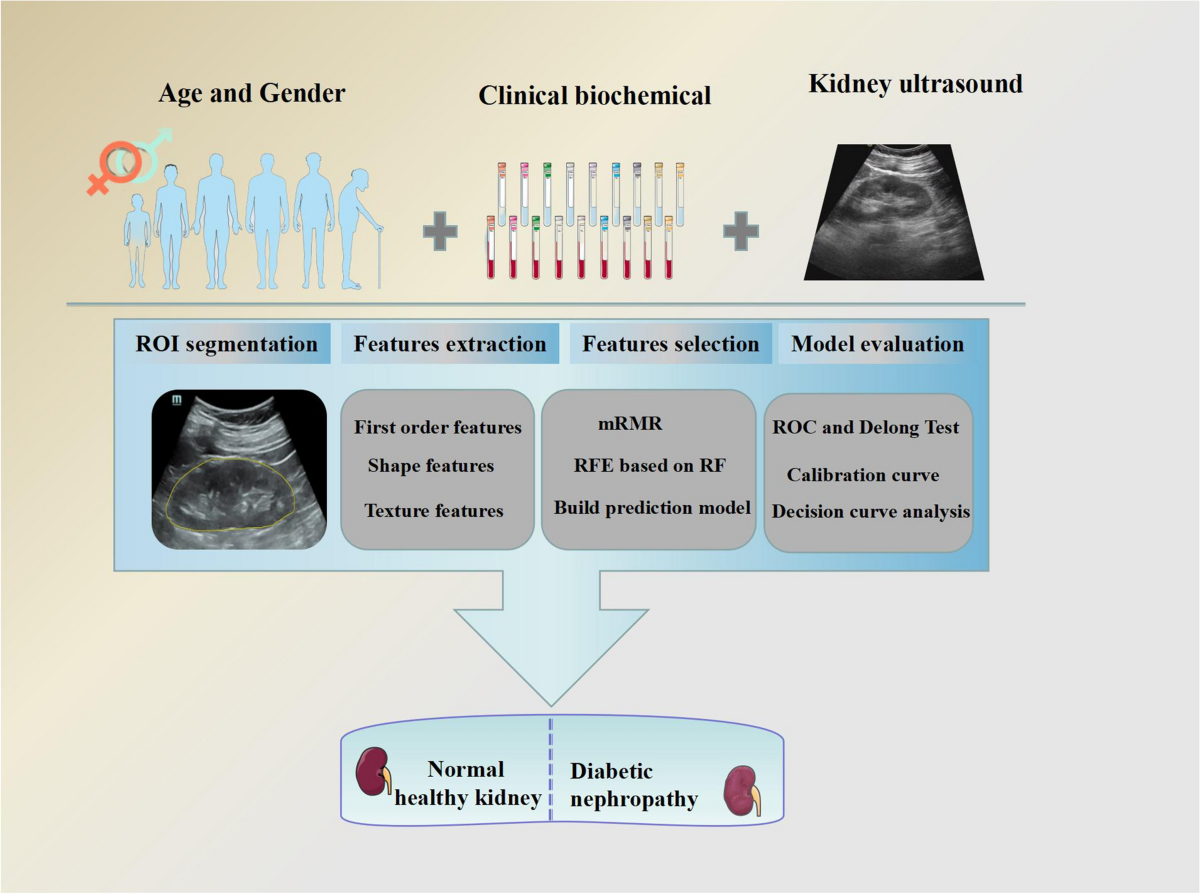 Value of radiomics based two dimensional ultrasound for diagnosing ...