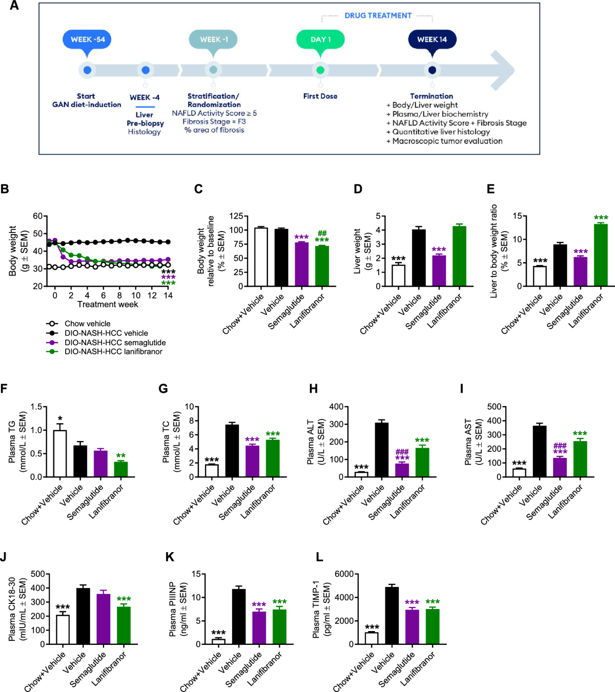 what is the bmi requirement for semaglutide High-dose semaglutide appears to be effective