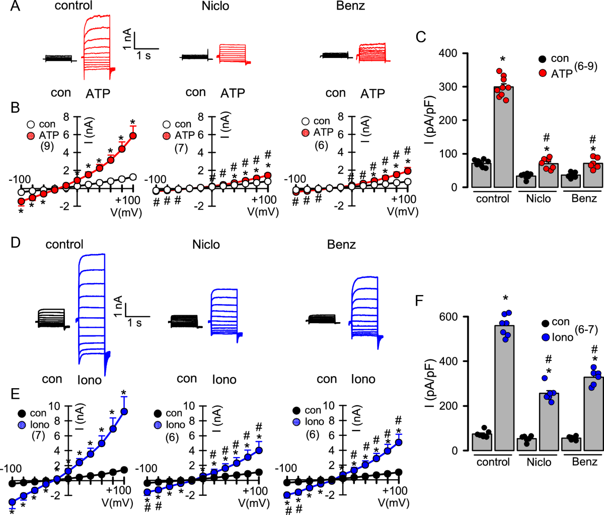 Inhibition of mucus secretion by niclosamide and benzbromarone in airways  and intestine | Scientific Reports