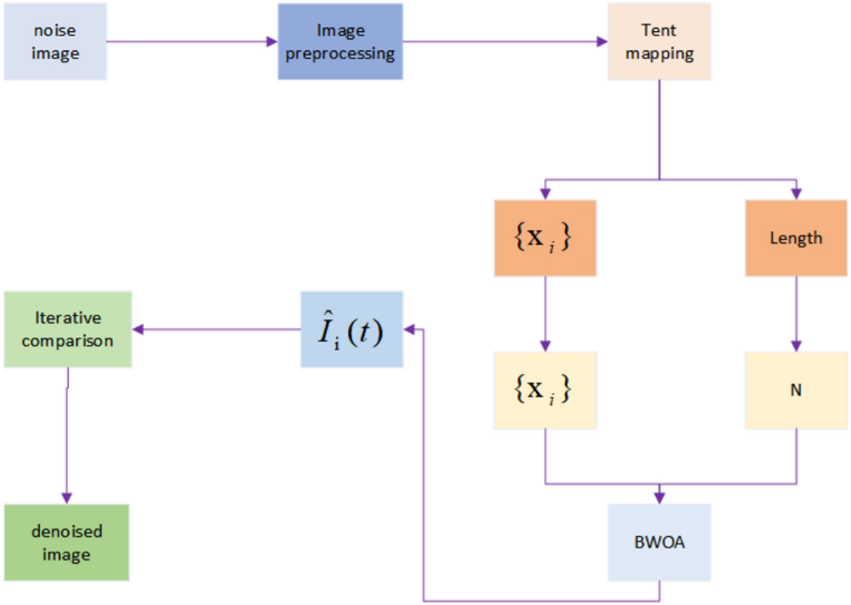 Research on improved black widow algorithm for medical image denoising |  Scientific Reports