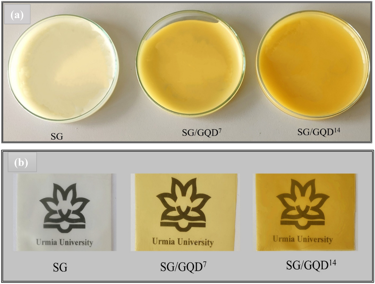 Introducing graphene quantum dots in decomposable wheat starch-gelatin  based nano-biofilms | Scientific Reports