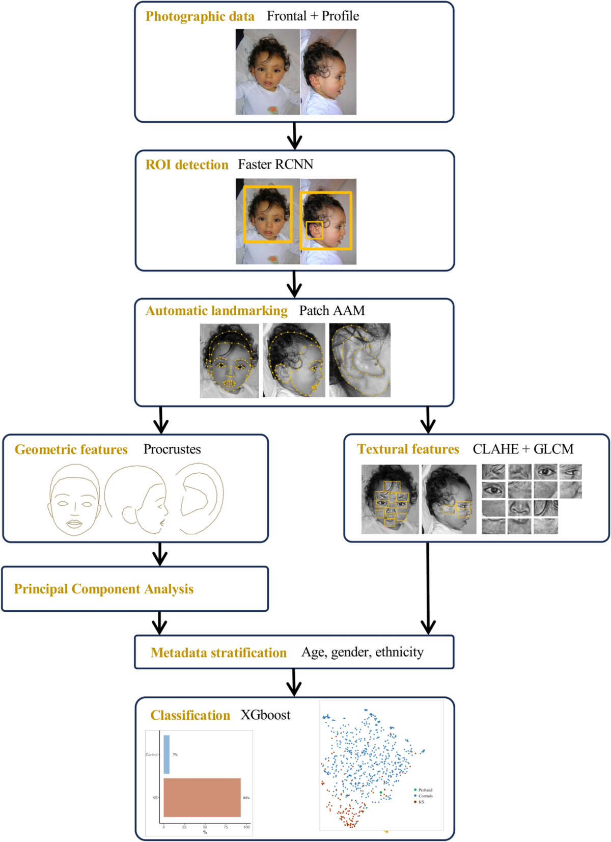 Next generation phenotyping for diagnosis and phenotype–genotype  correlations in Kabuki syndrome | Scientific Reports