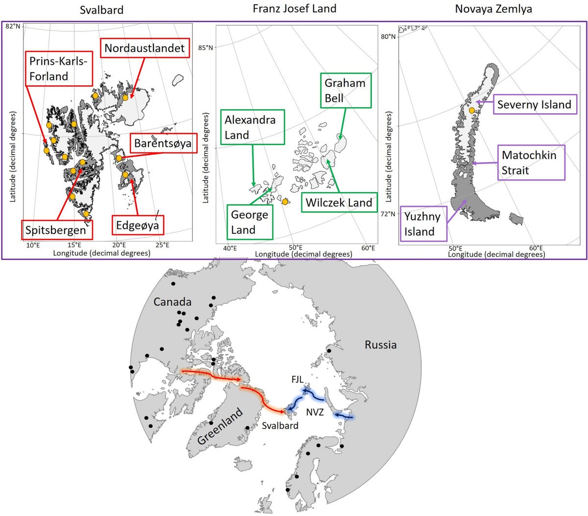 Ancient reindeer mitogenomes reveal island-hopping colonisation of the  Arctic archipelagos | Scientific Reports
