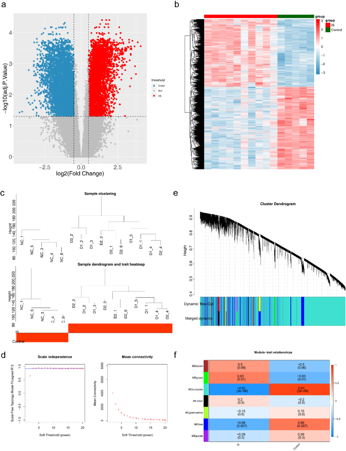 Analysis and identification of oxidative stress-ferroptosis related  biomarkers in ischemic stroke | Scientific Reports