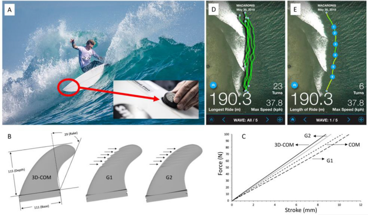 Understanding the relationship between surfing performance and fin 