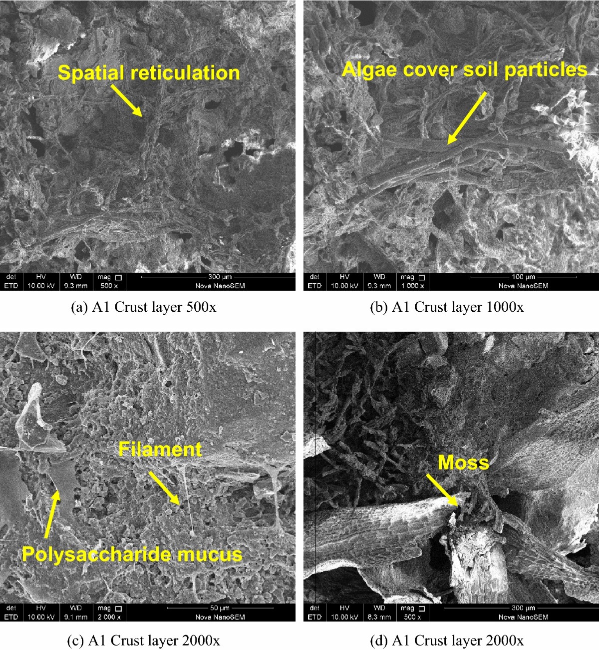 Experimental test and mechanism analysis of soil crust erosion resistance  of rammed earth Great Wall in rainy season | Scientific Reports