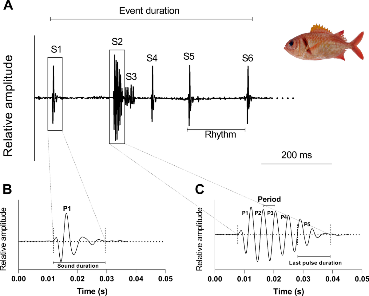 Restaurant Curry Fish Head @ PJ | Becky-Wong, image size:1200x961