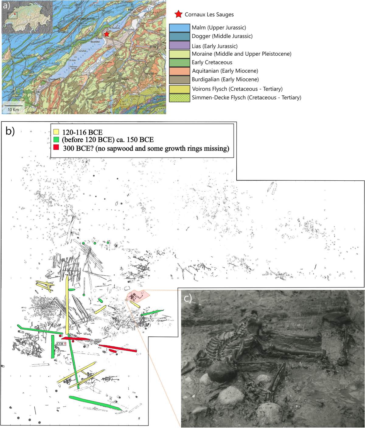 Geographic origin, ancestry, and death circumstances at the Cornaux/Les  Sauges Iron Age bridge, Switzerland | Scientific Reports