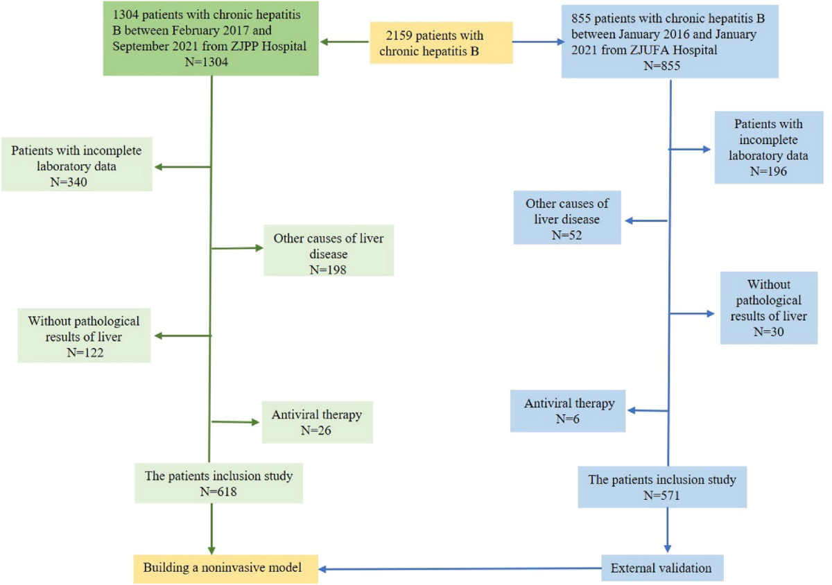 A machine learning-based model analysis for serum markers of liver fibrosis  in chronic hepatitis B patients | Scientific Reports