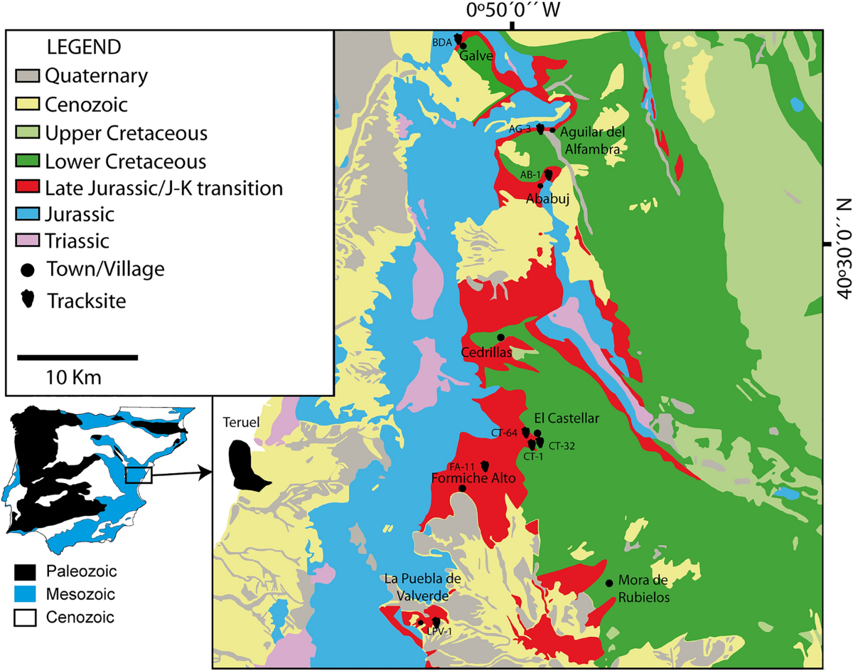 The complexity of tracking stegosaurs and their gregarious behavior |  Scientific Reports