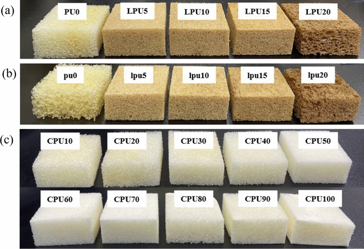 Investigation of bio-based rigid polyurethane foams synthesized 
