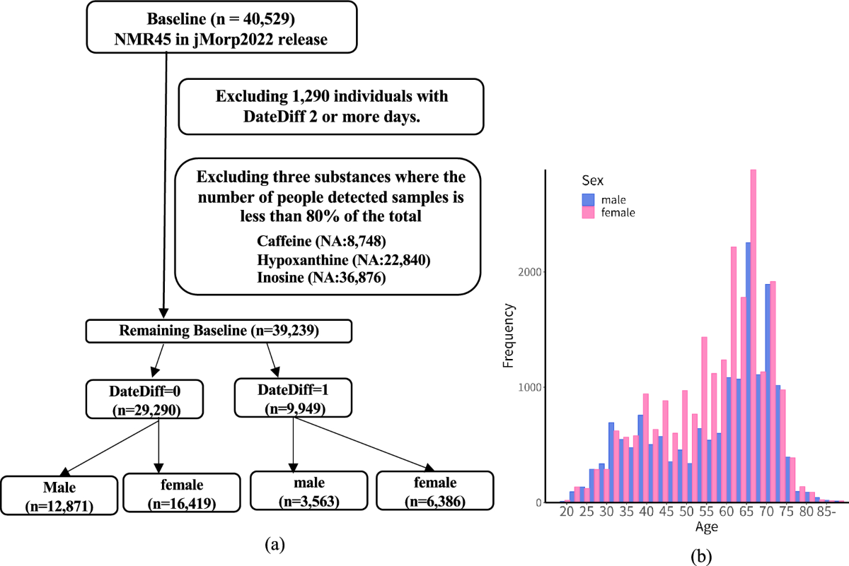 Identifying critical age and gender-based metabolomic shifts in a 