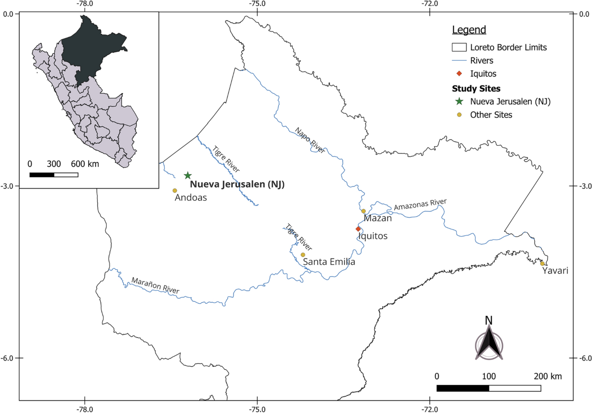 Genomic surveillance of malaria parasites in an indigenous community in the  Peruvian Amazon | Scientific Reports