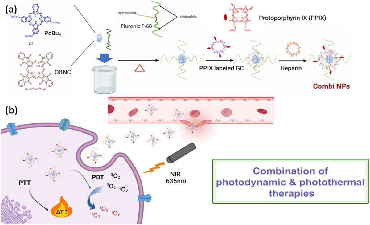 All organic nanomedicine for PDT–PTT combination therapy of cancer cells in  hypoxia | Scientific Reports