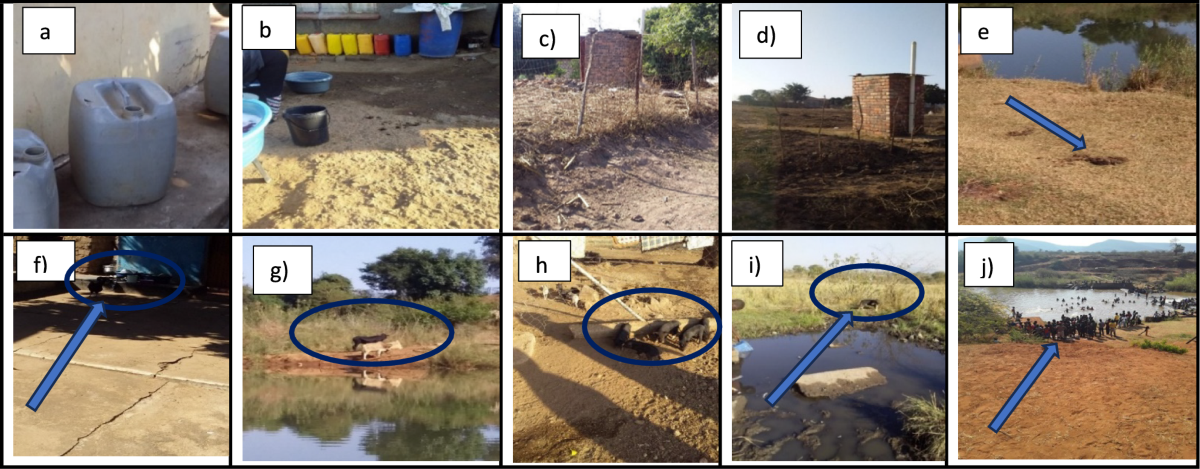 Distribution of host-specific Bacteriodales marker genes in water sources of selected rural areas of Vhembe District, South Africa