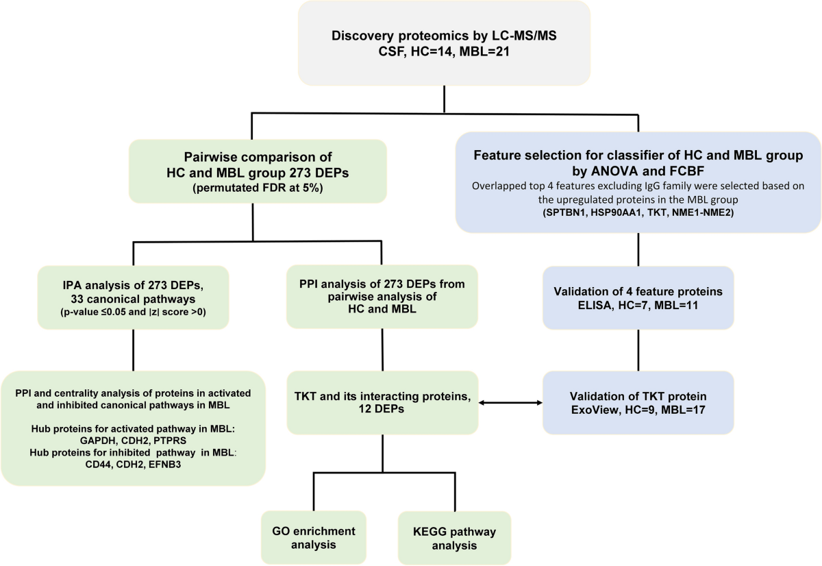 Proteomic profiling of cerebrospinal fluid reveals TKT as a 