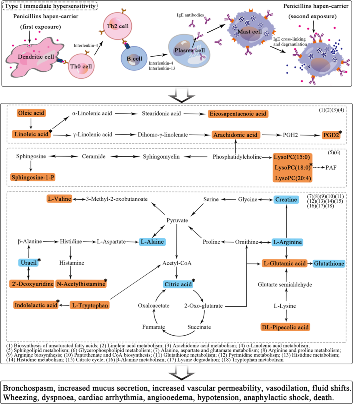anaphylaxis after intravenous glutathione case report Serum metabolomics analysis reveals potential biomarkers of  penicillins-induced fatal anaphylactic shock in rats
