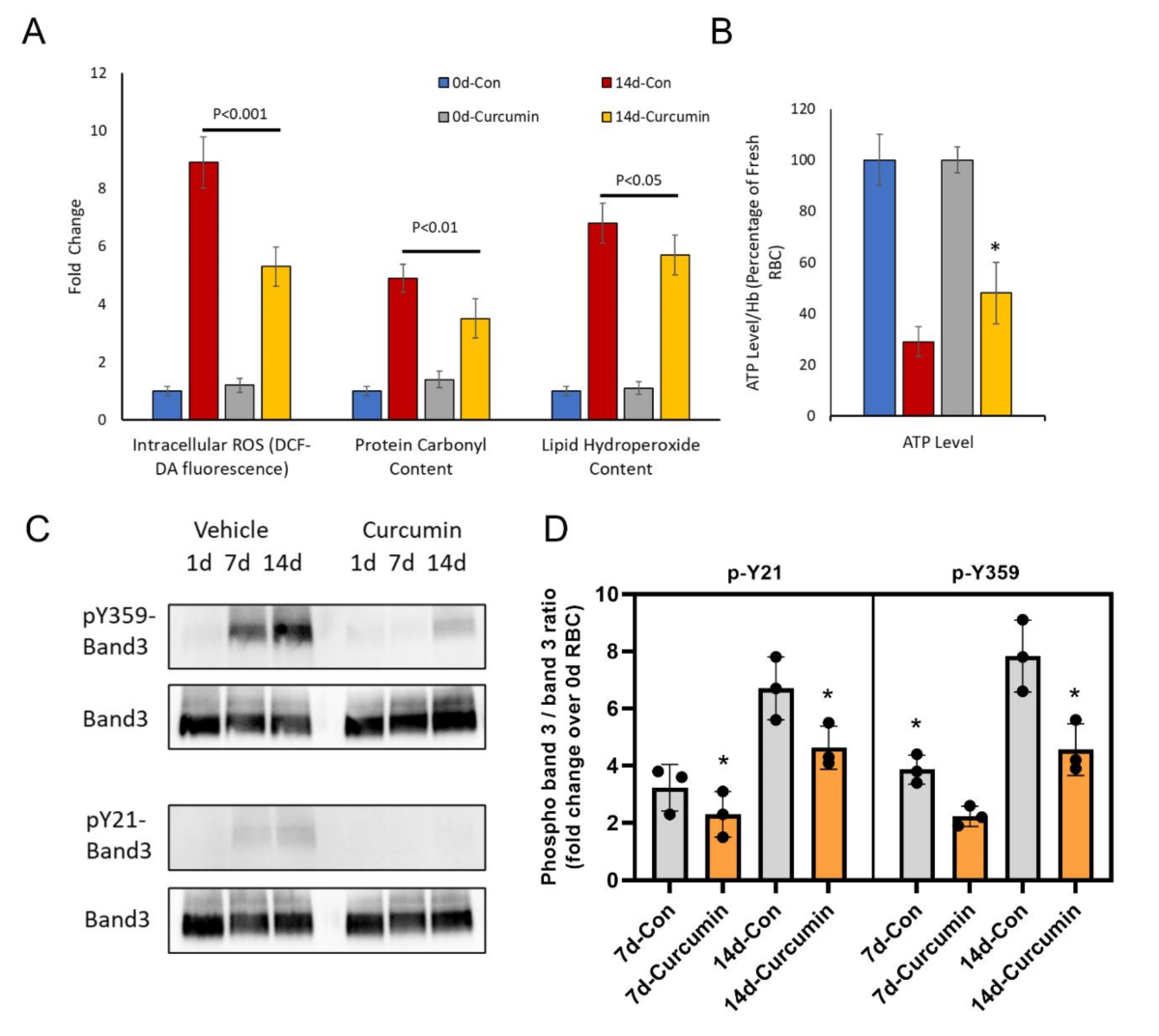 Biopreservation and reversal of oxidative injury during blood storage by a  novel curcumin-based gel formulation | Scientific Reports