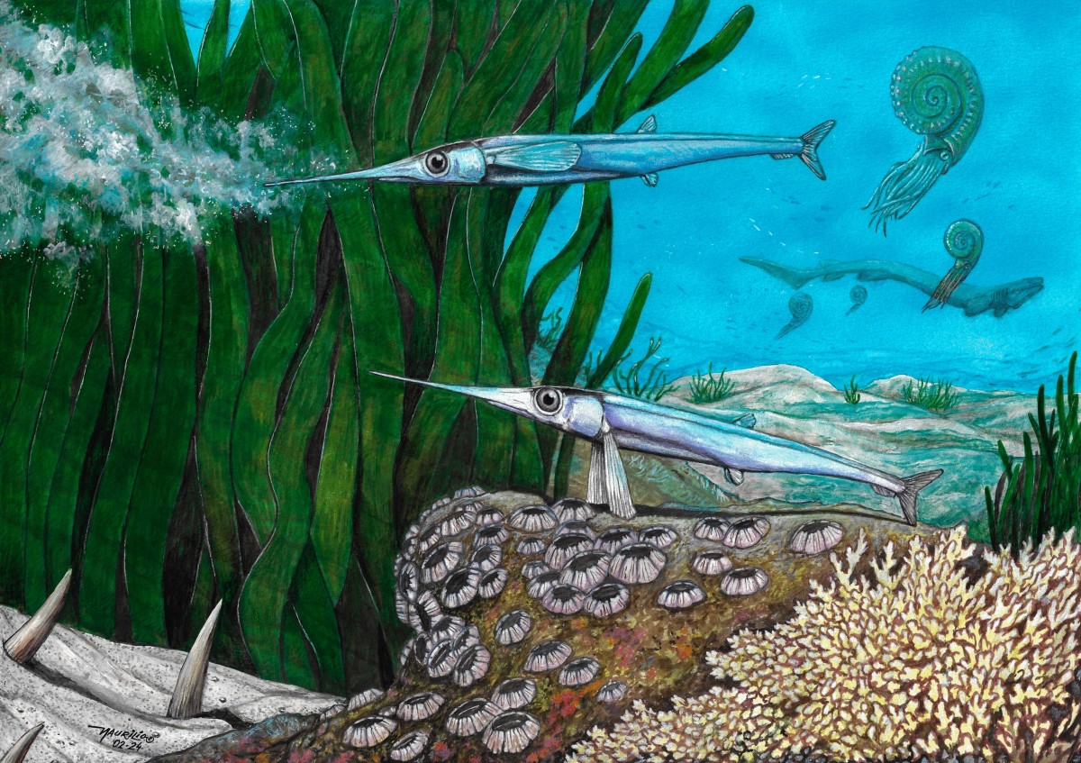 These Arctic snailfish make their own antifreeze | Popular Science, image size:1200x847