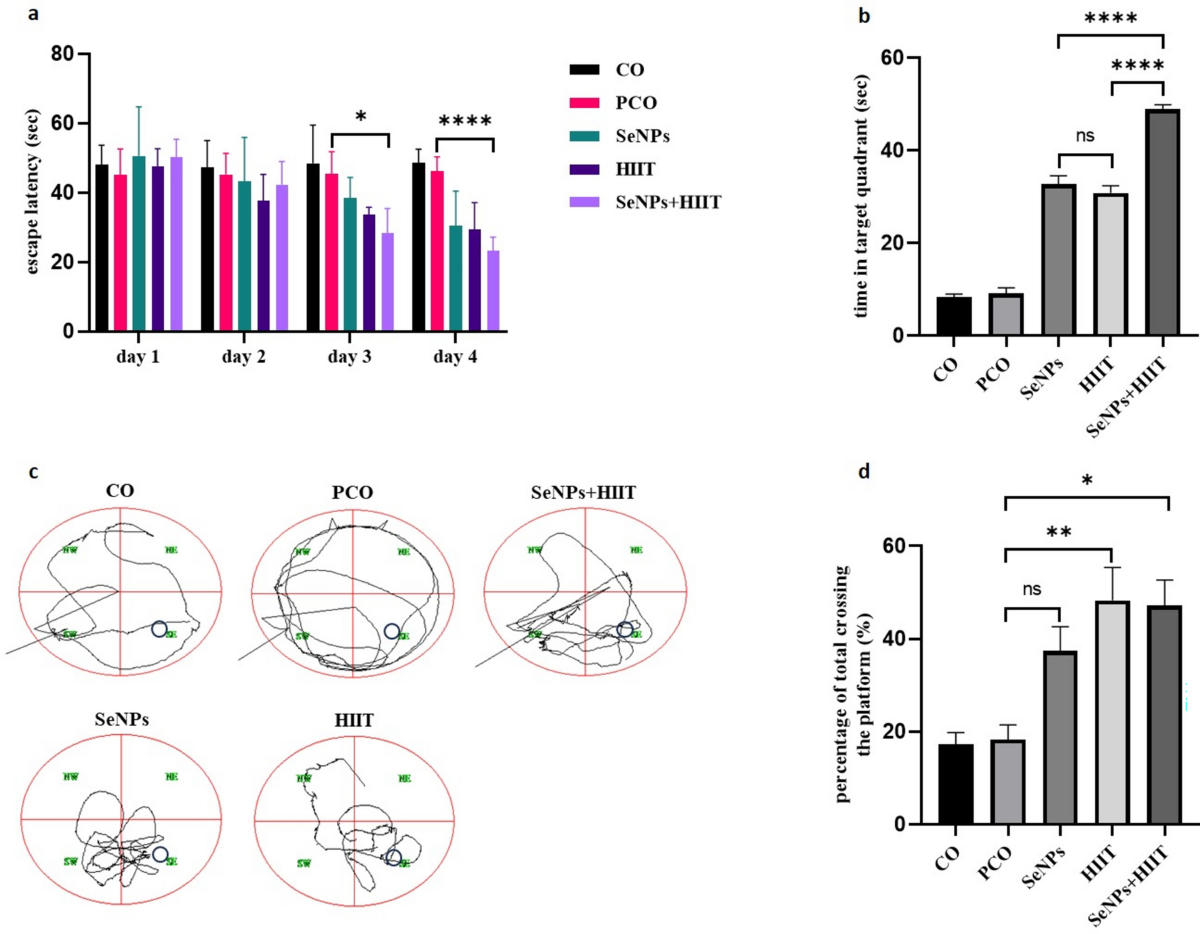 High intensity interval training and selenium nanoparticles protect  hippocampal neurons and enhance cognitive function in diabetic rats |  Scientific Reports