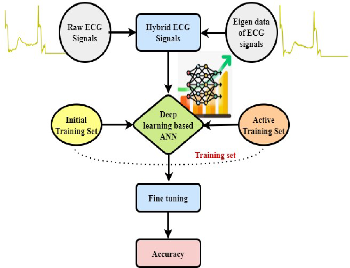 Hybrid deep learning framework for heart disease prediction using ECG  signal images | Scientific Reports