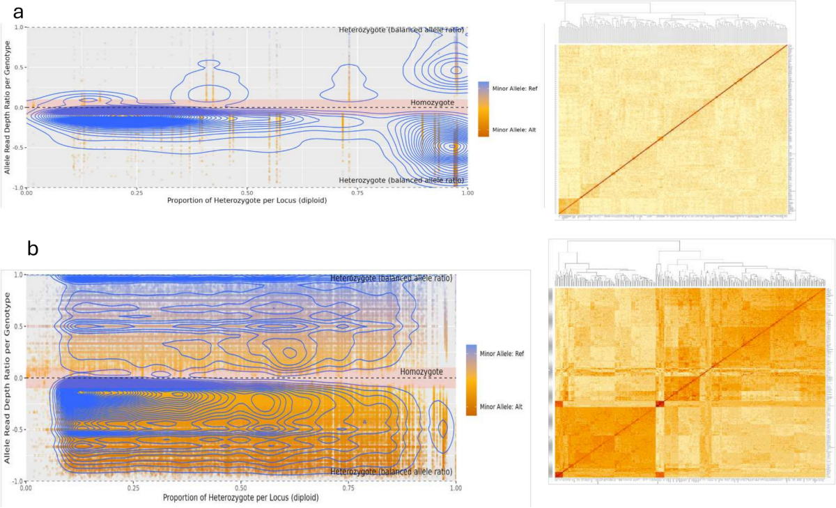 Genome wide association studies in yam reveal the challenge of high  heterozygosity | Scientific Reports