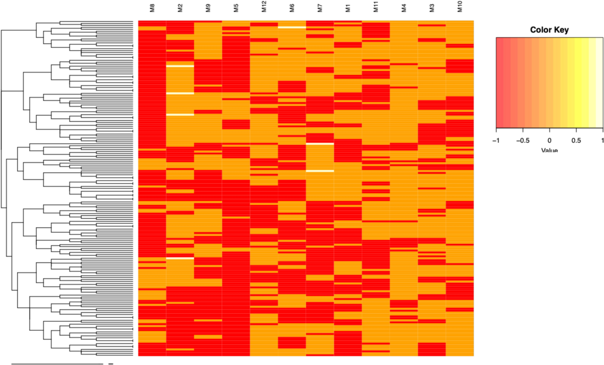 Genome wide association studies in yam reveal the challenge of high  heterozygosity | Scientific Reports