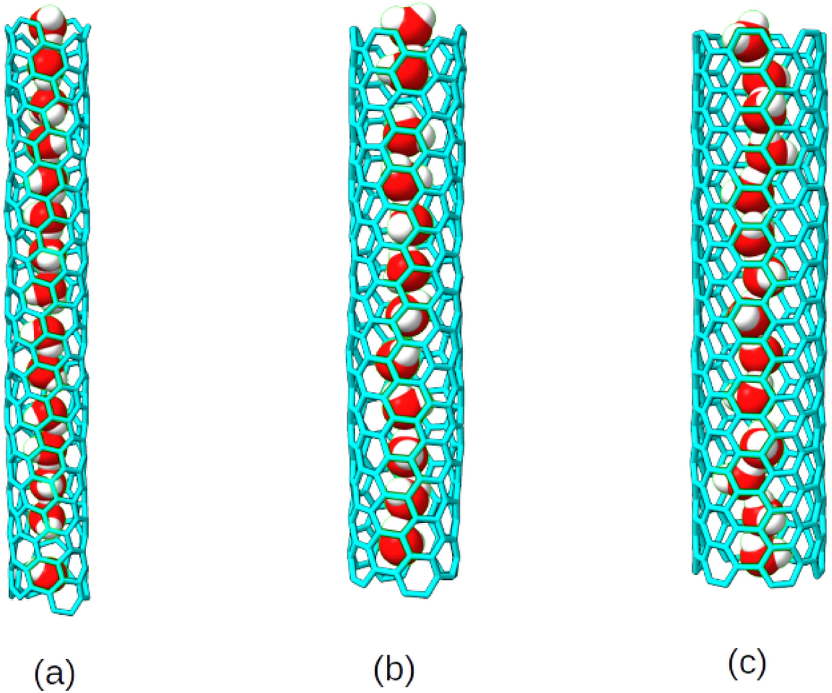Dynamics and vibrational spectroscopy of quasi-one dimensional water wires  inside carbon nanotubes of different diameter and chirality | Scientific  Reports