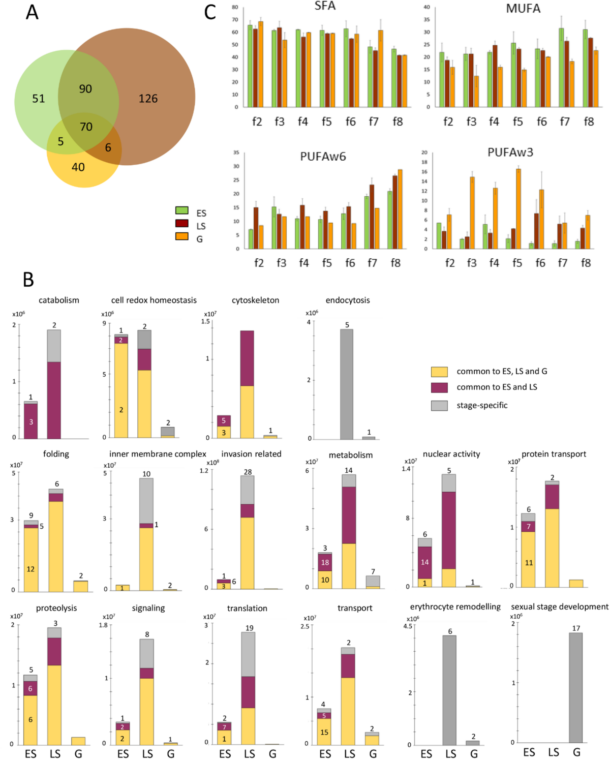 Chelsea 'close to agreeing fee' for Augsburg left-back Baba Rahman |  Football News | Sky Sports, image size:1200x1493