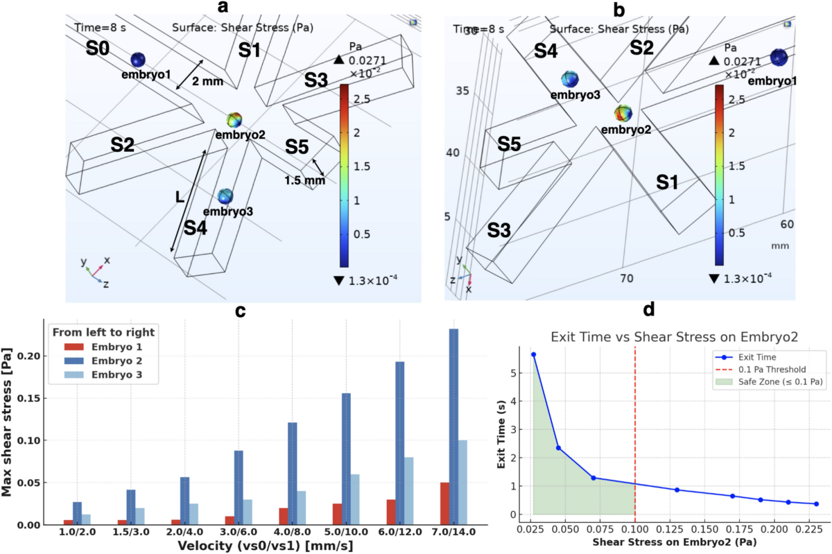 Combining deep learning and microfluidics for fast and noninvasive sorting  of zebrafish embryo | Scientific Reports