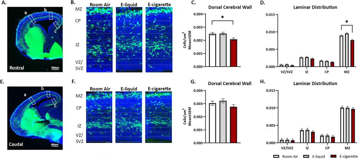 elfbar nachfüll pod läuft aus Toxic Metals in E-cigarettes Lead to Oxidative DNA Damage