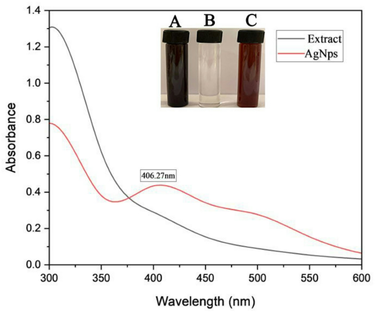 Anticandidal activity of greenly synthesized silver nanoparticles  formulated using Alkanna tinctoria roots against multidrug resistant  candidal pathogens | Scientific Reports