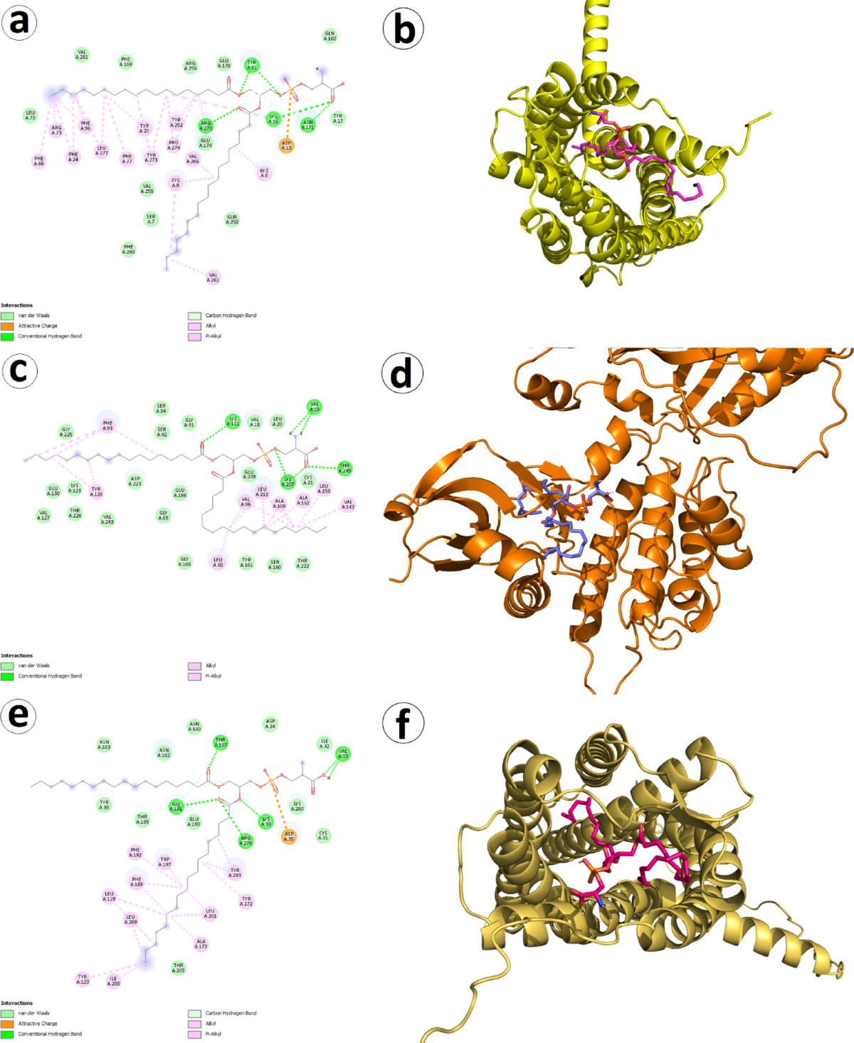 liposomal glutathione vs phosphatidylserine Liposomes and Extracellular Vesicles as Distinct Paths Toward Precision Glioma Treatment Exogenous phosphatidylserine protects against mesenteric