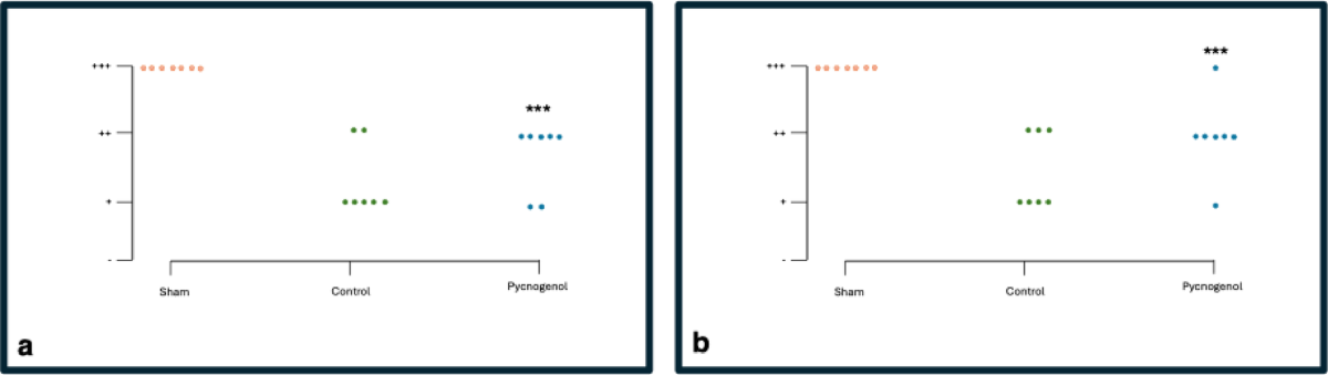 Neuroprotective effects of Pycnogenol on nerve regeneration and functional  recovery after sciatic nerve crush injury in rodents