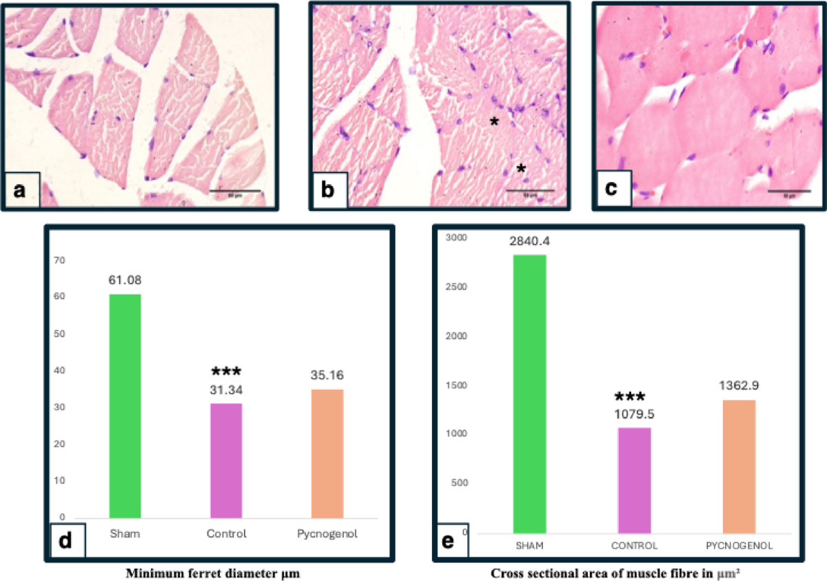 pycnogenol vs glutathione Neuroprotective effects of Pycnogenol on nerve regeneration and functional  recovery after sciatic nerve crush injury in rodents