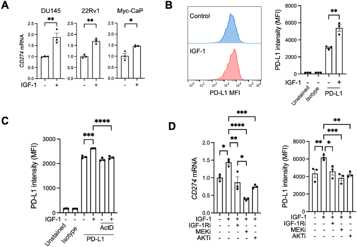 IGF-1 regulates cancer cell immune evasion in prostate cancer | Scientific  Reports