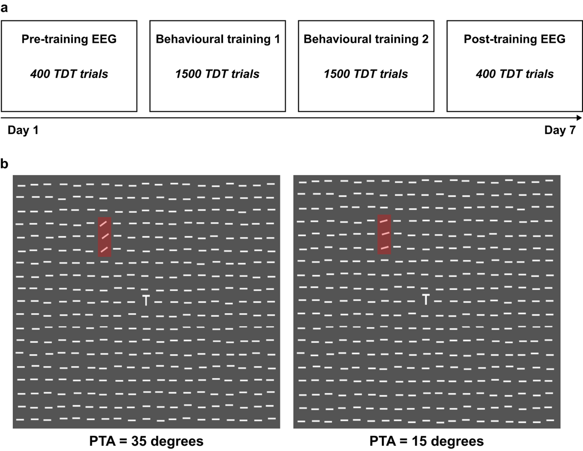 Brain signal complexity tracks mind-wandering and visual perceptual  learning | Scientific Reports